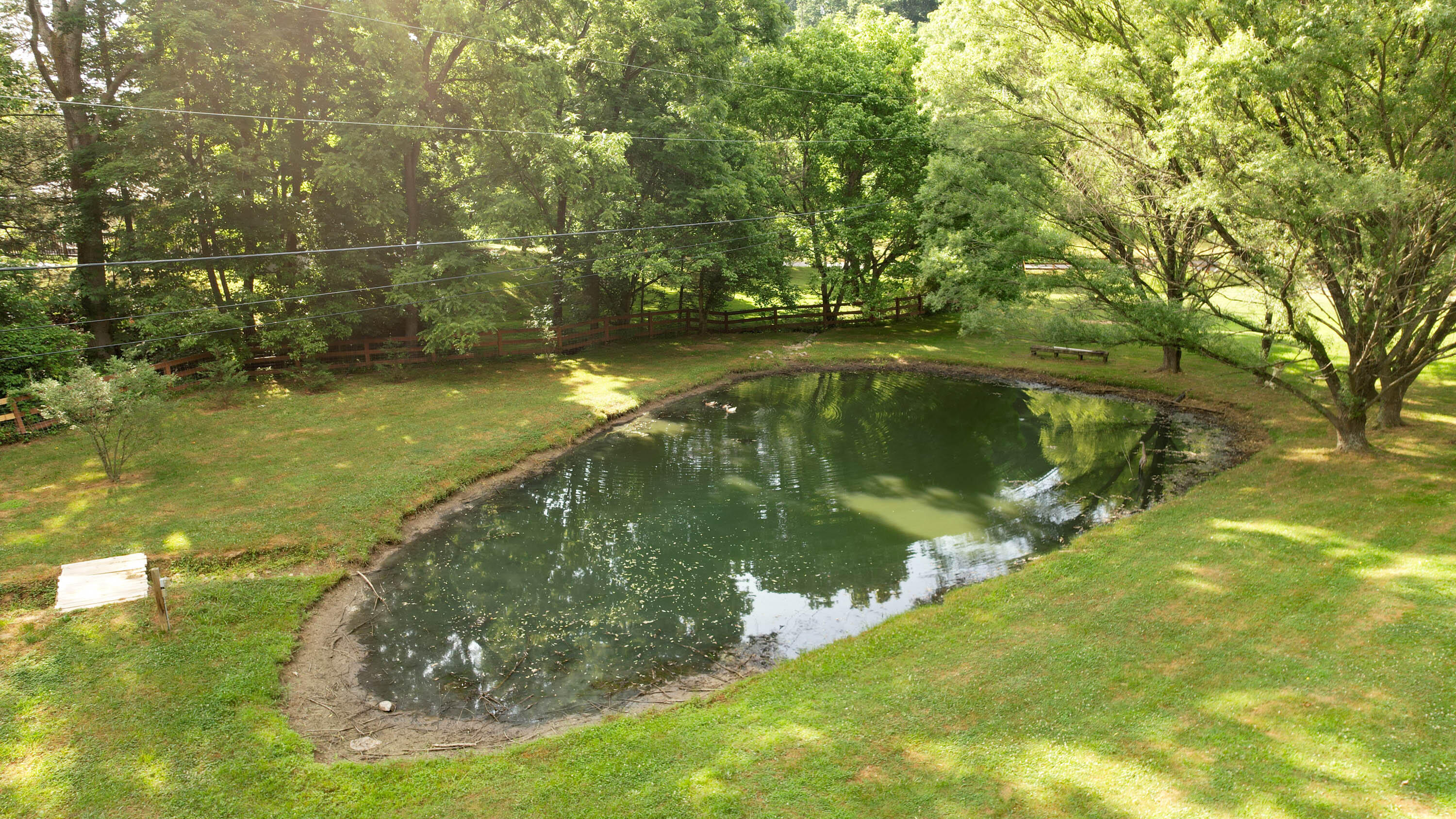 485 Taylor Road Fall Branch, TN 37656 - Photo 11 of 77 Coates Drone Edited-22