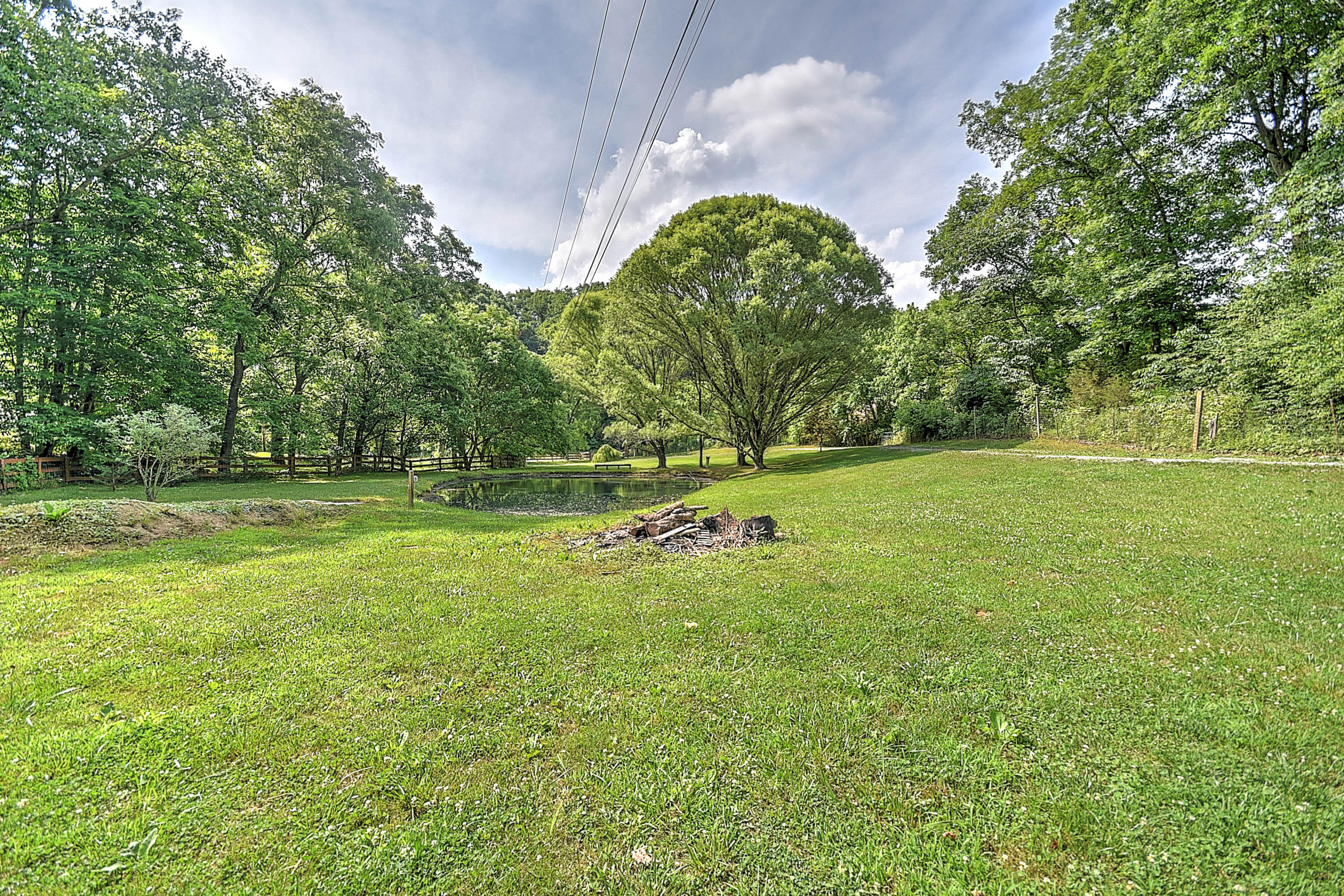 485 Taylor Road Fall Branch, TN 37656 - Photo 57 of 77 Taylor Rd-52