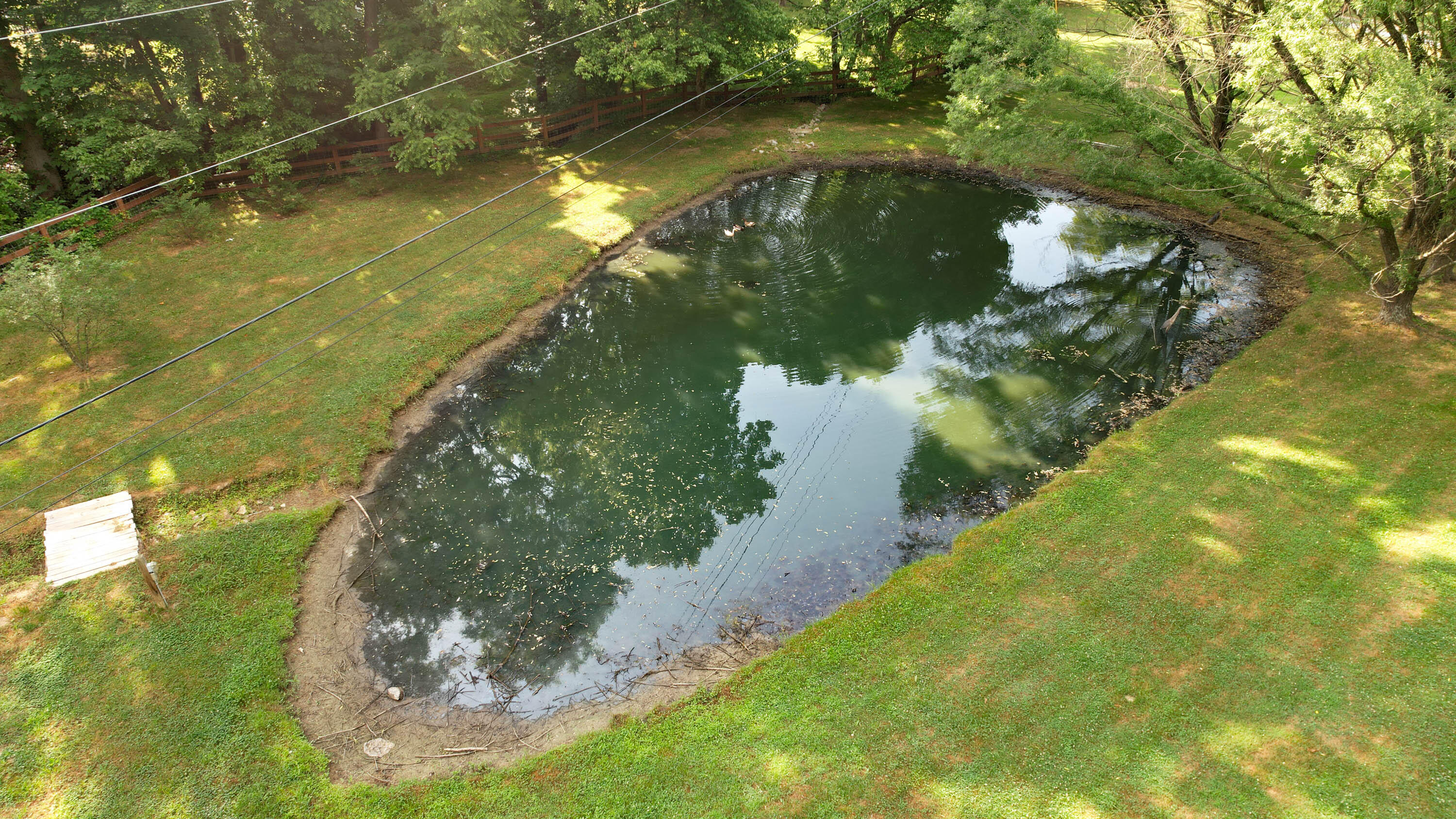485 Taylor Road Fall Branch, TN 37656 - Photo 10 of 77 Coates Drone Edited-21