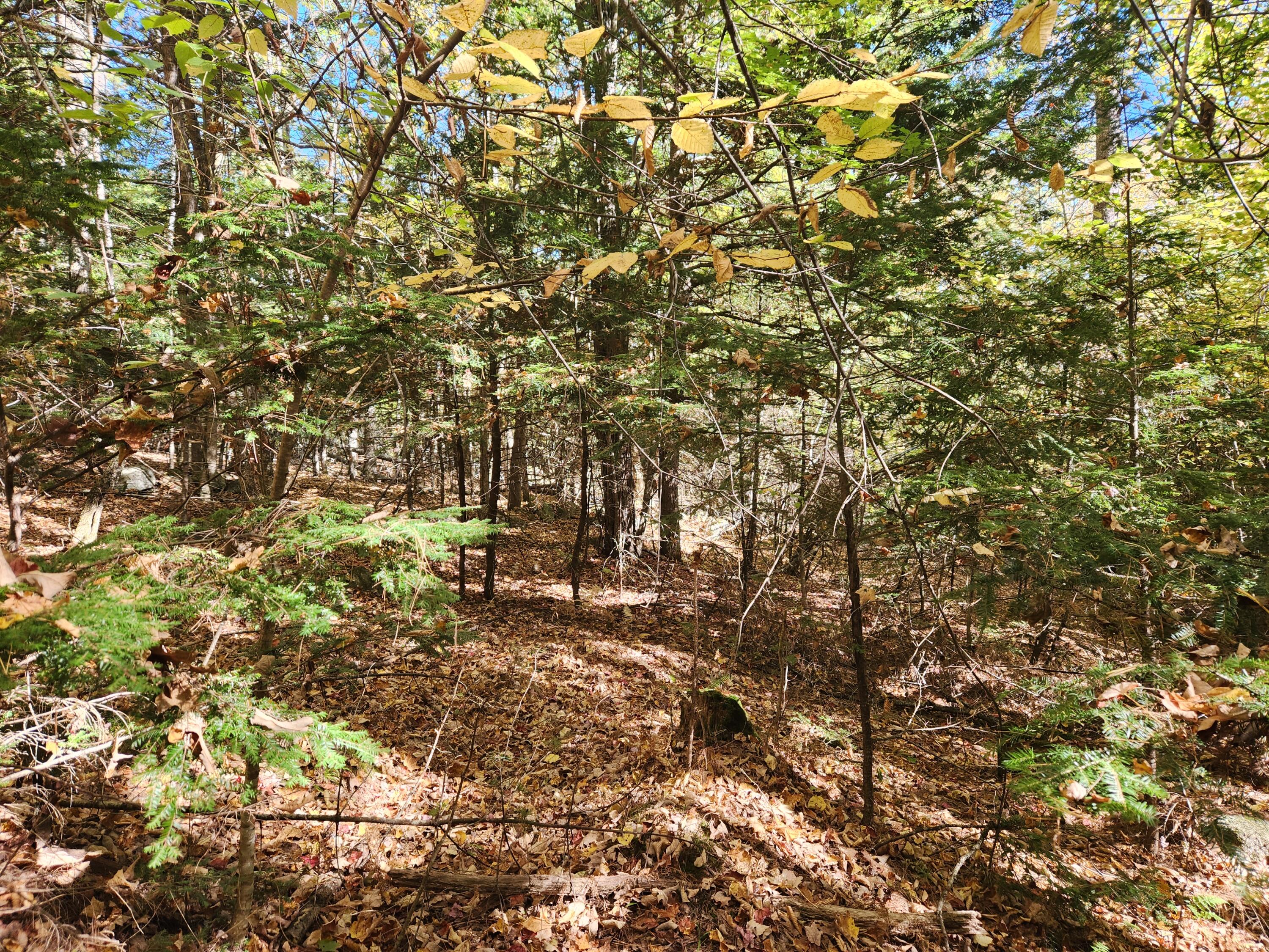 14 D Thomas Hill Road Norway, ME 04268 - Photo 14 of 32 20251002_103413
