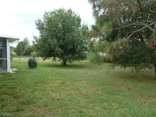 a view of a park with large trees
