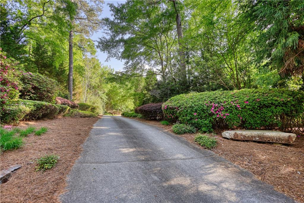 393 Edwards Road Oxford, GA 30054 - Photo 4 of 82 a view of a street with potted plants and large trees
