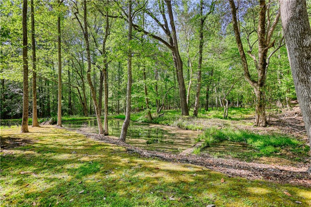 393 Edwards Road Oxford, GA 30054 - Photo 59 of 82 a view of a park with large trees
