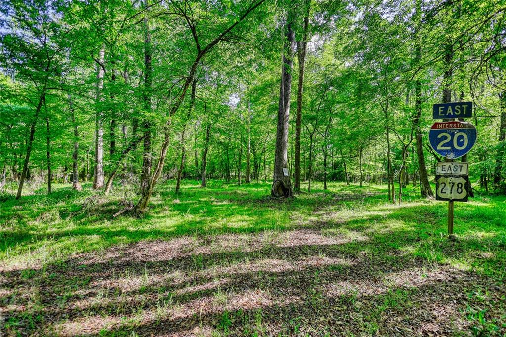 393 Edwards Road Oxford, GA 30054 - Photo 61 of 82 a green field with lots of trees in it
