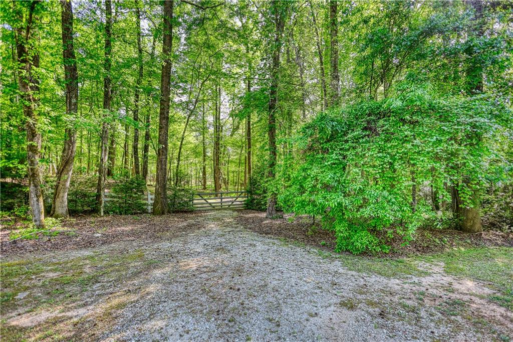 393 Edwards Road Oxford, GA 30054 - Photo 62 of 82 a view of a big yard with large trees