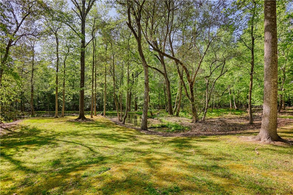 393 Edwards Road Oxford, GA 30054 - Photo 69 of 82 a swimming pool with trees in the background
