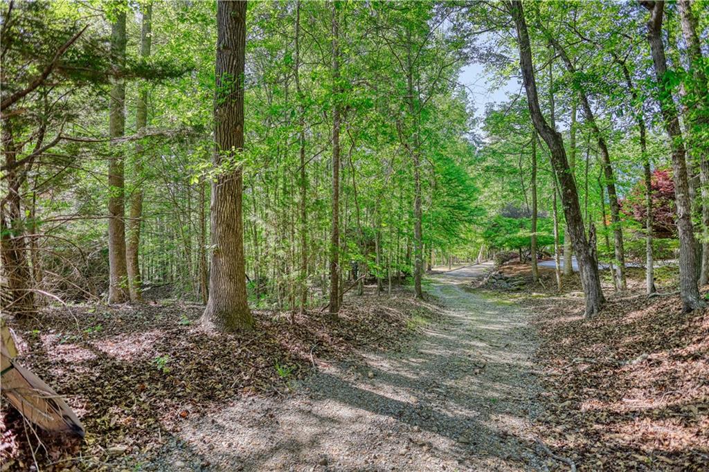 393 Edwards Road Oxford, GA 30054 - Photo 71 of 82 a view of a forest with trees in the background