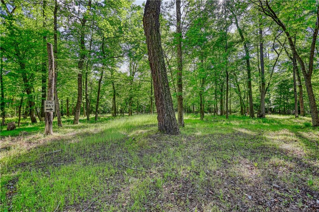 393 Edwards Road Oxford, GA 30054 - Photo 75 of 82 a view of a lush green forest