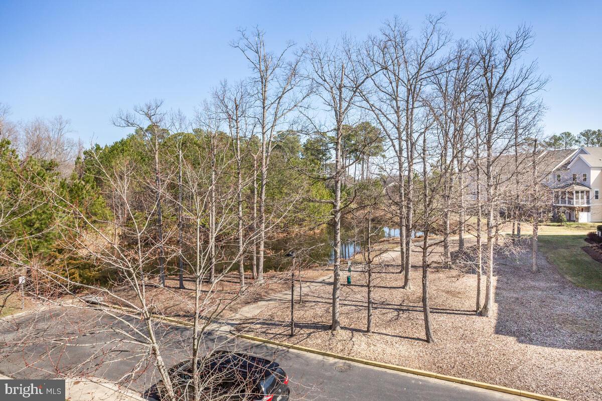 13824 Reef Way, Unit 301 Solomons, MD 20688 - Photo 58 of 64 Nature awaits