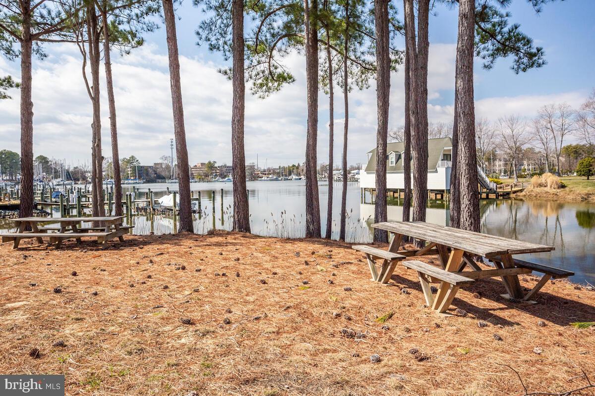 13824 Reef Way, Unit 301 Solomons, MD 20688 - Photo 59 of 64 Let's have a crab feast overlooking Back Creek
