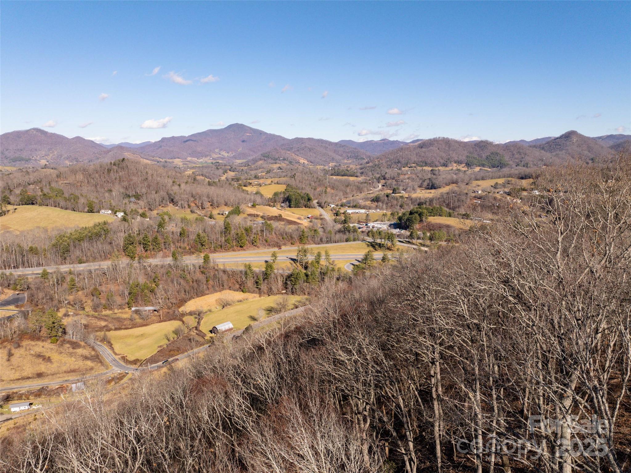 Tbd McElroy Cove Road Waynesville, NC 28785 - Photo 15 of 16