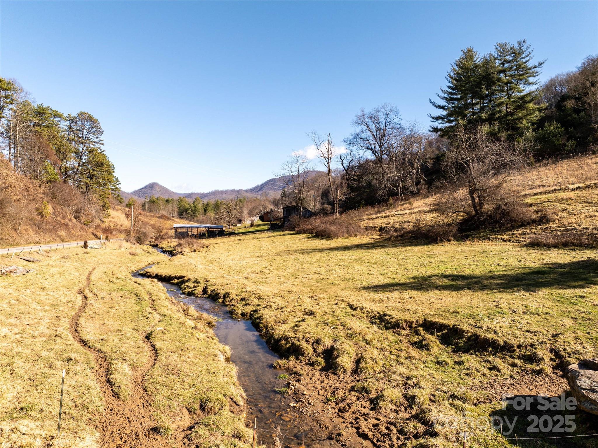 Tbd McElroy Cove Road Waynesville, NC 28785 - Photo 3 of 16