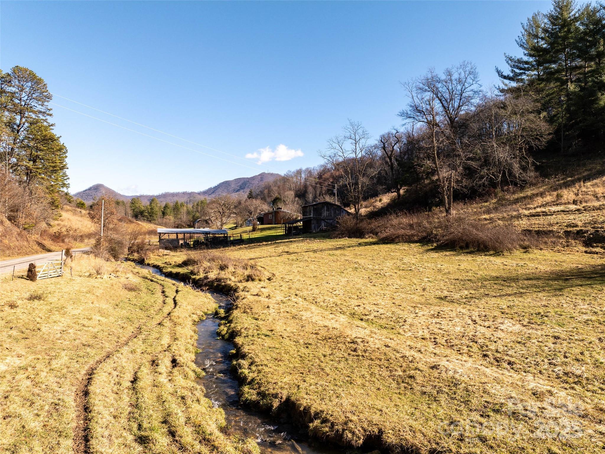 Tbd McElroy Cove Road Waynesville, NC 28785 - Photo 4 of 16