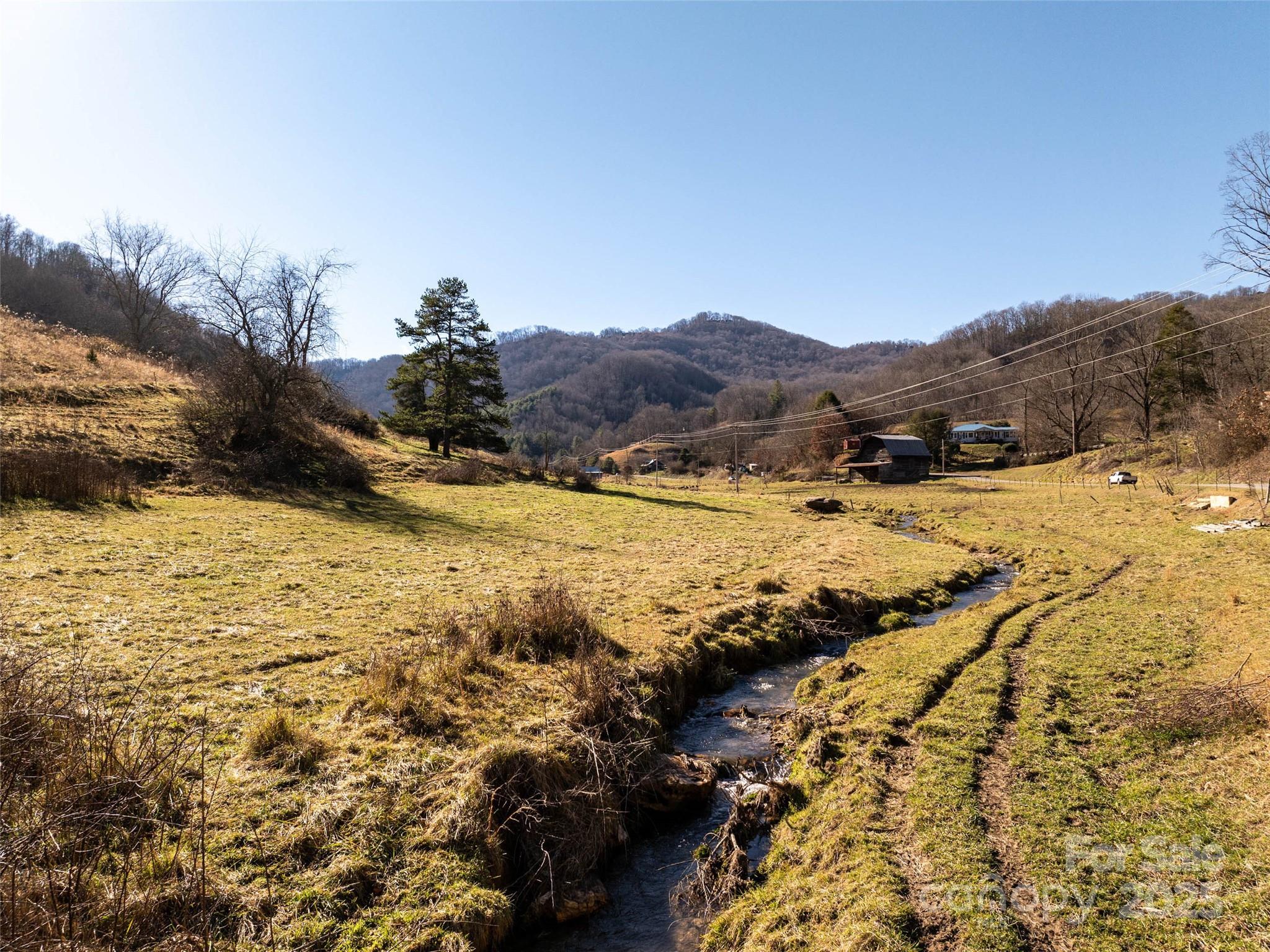 Tbd McElroy Cove Road Waynesville, NC 28785 - Photo 5 of 16