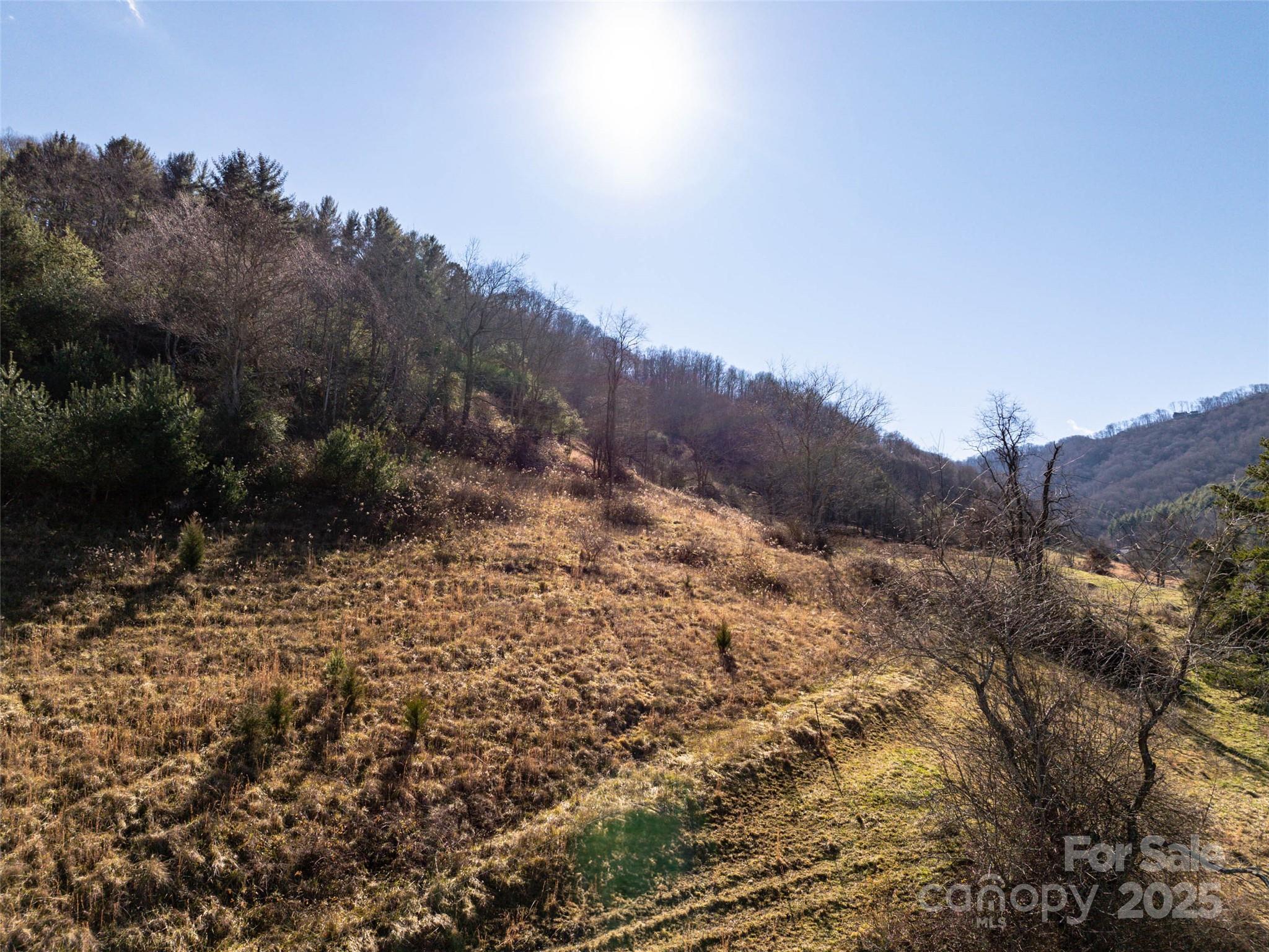 Tbd McElroy Cove Road Waynesville, NC 28785 - Photo 6 of 16