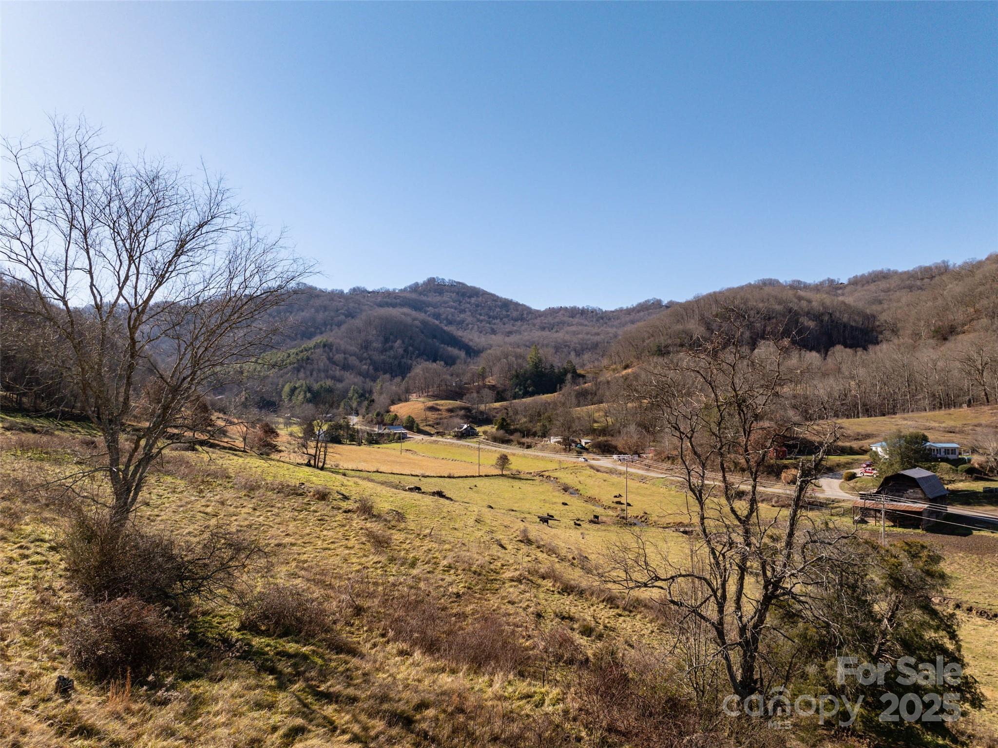 Tbd McElroy Cove Road Waynesville, NC 28785 - Photo 7 of 16