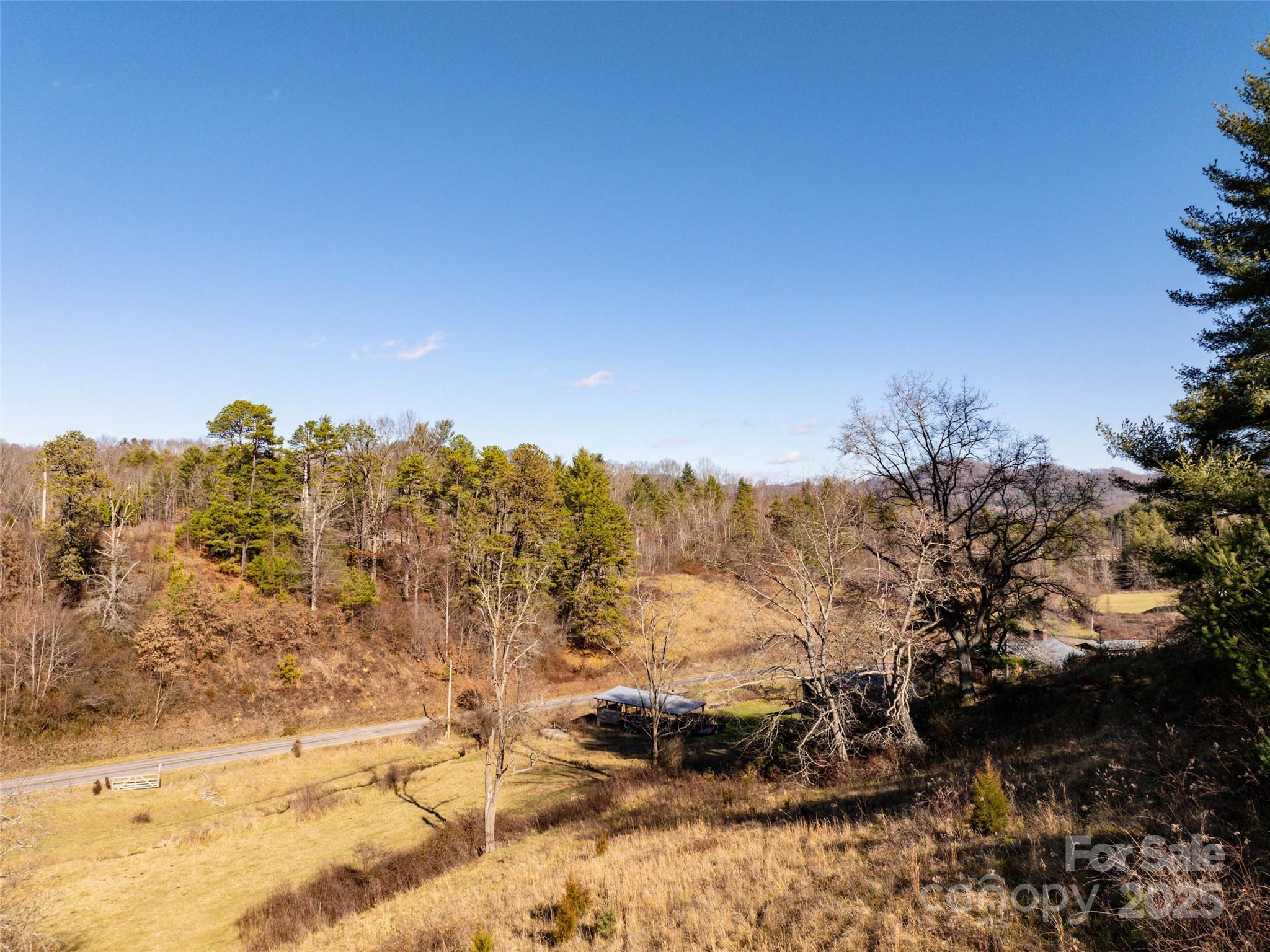 Tbd McElroy Cove Road Waynesville, NC 28785 - Photo 8 of 16