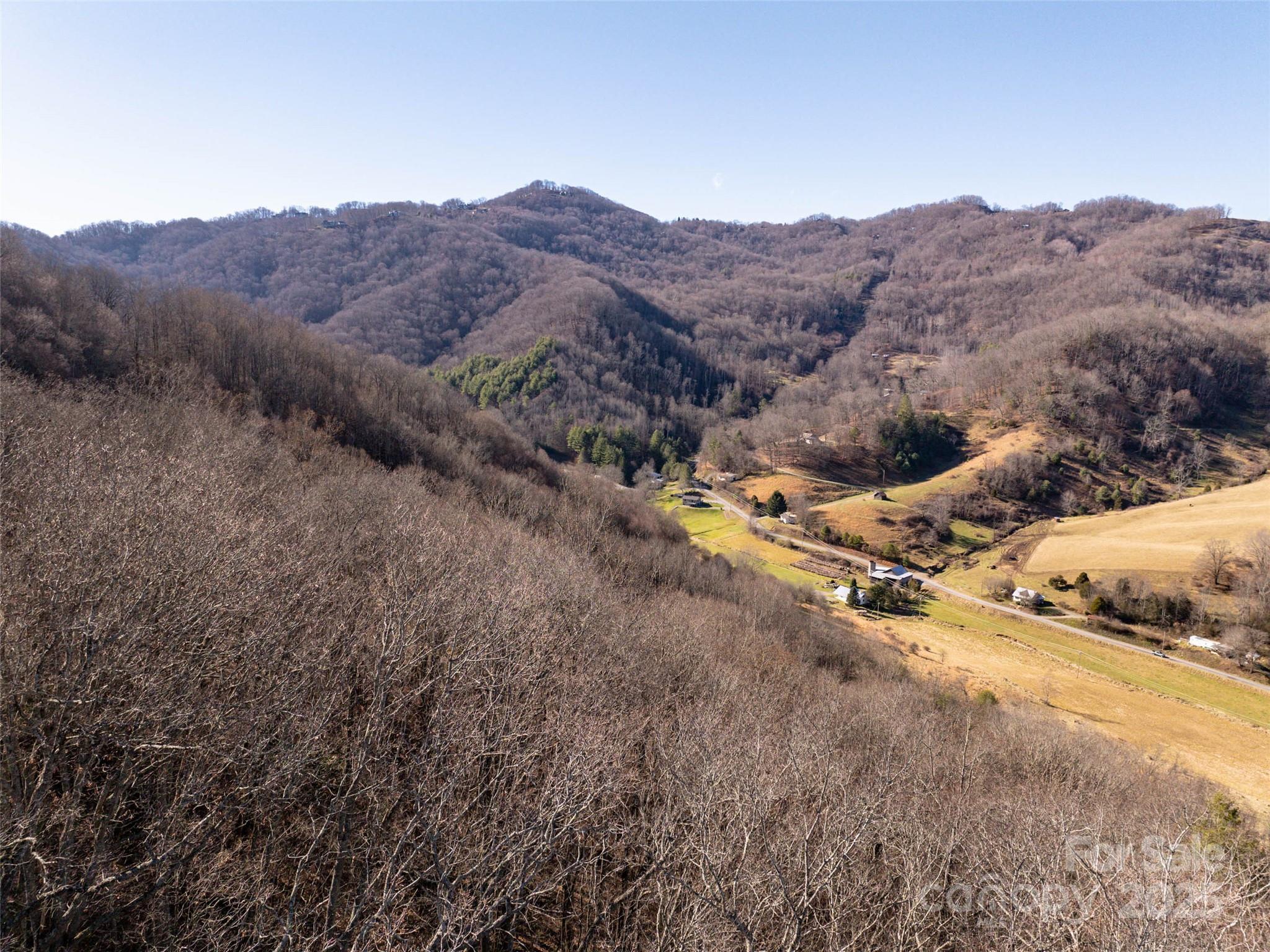 Tbd McElroy Cove Road Waynesville, NC 28785 - Photo 10 of 16