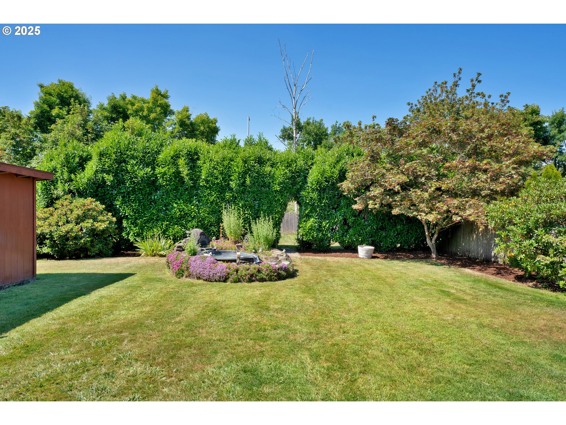630 Colonial Drive Springfield, OR 97477 - Photo 28 of 37 a view of a backyard with plants and trees