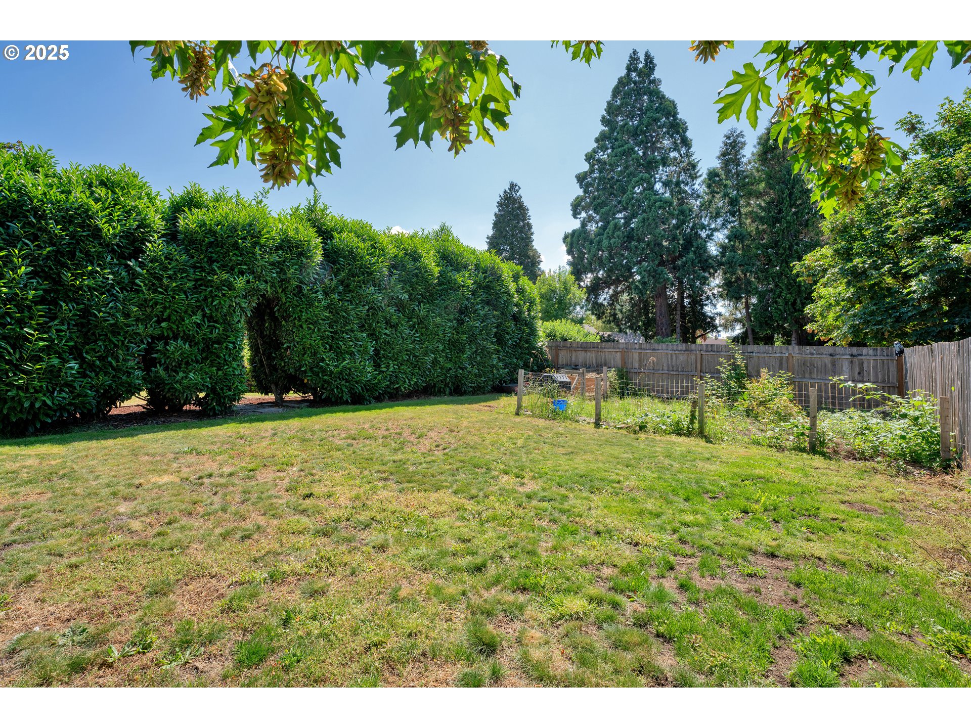 630 Colonial Drive Springfield, OR 97477 - Photo 33 of 37 a backyard of a house with lots of green space
