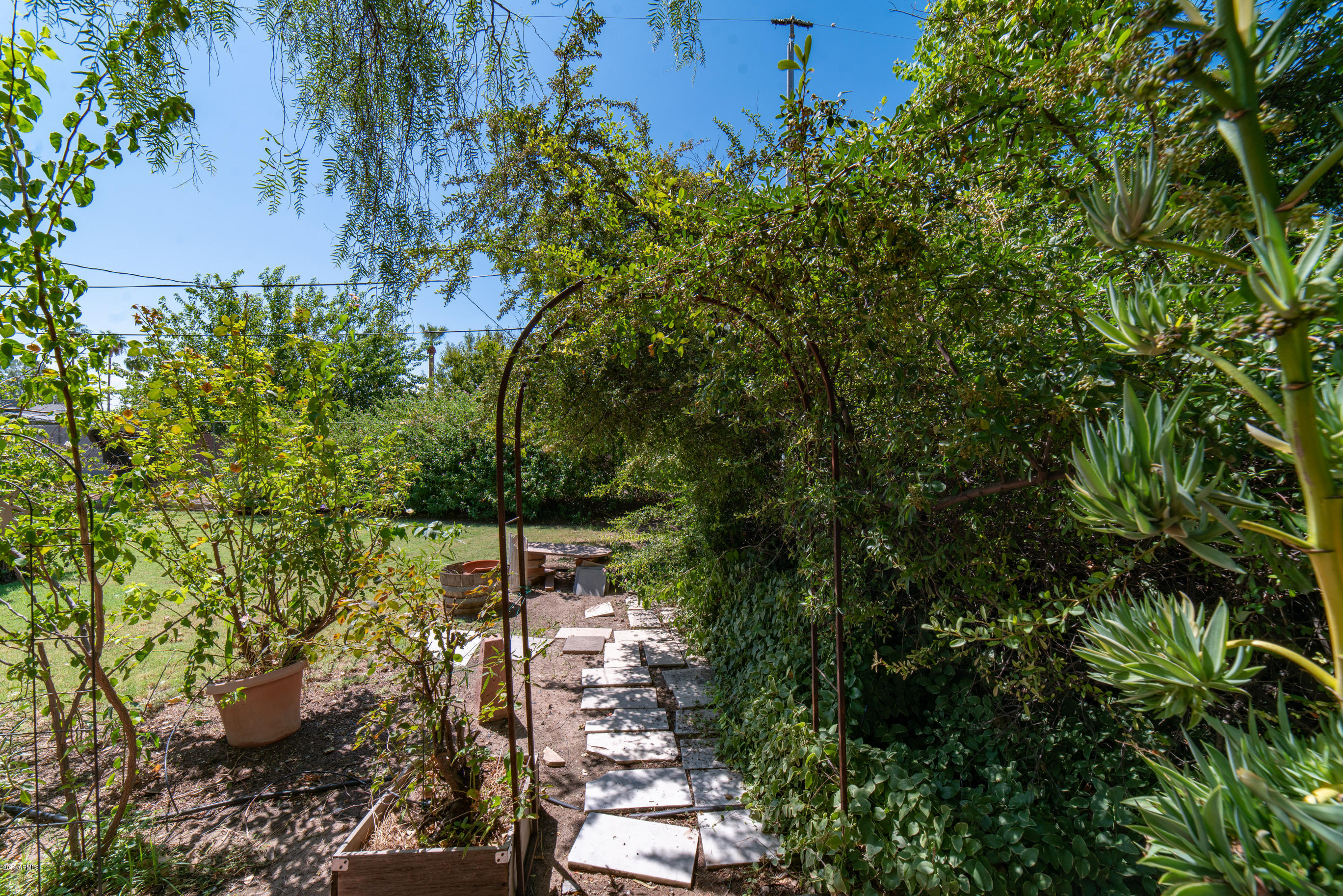 829 East Lamar Road Phoenix, AZ 85014 - Photo 25 of 25 DSC06372
