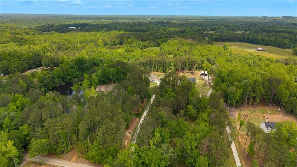 475 Paynes Lake Road Carrollton, GA 30116 - Photo 56 of 61