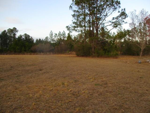 6434 Crews Community Road Folkston, GA 31537 - Photo 12 of 16 Photo 12