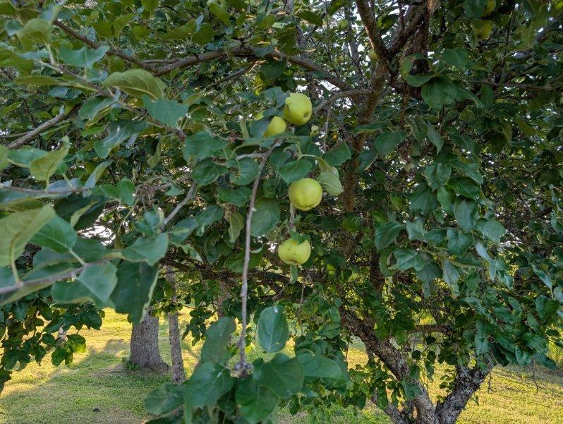 461 Plante Road Caribou, ME 04736 - Photo 5 of 30 461 127
