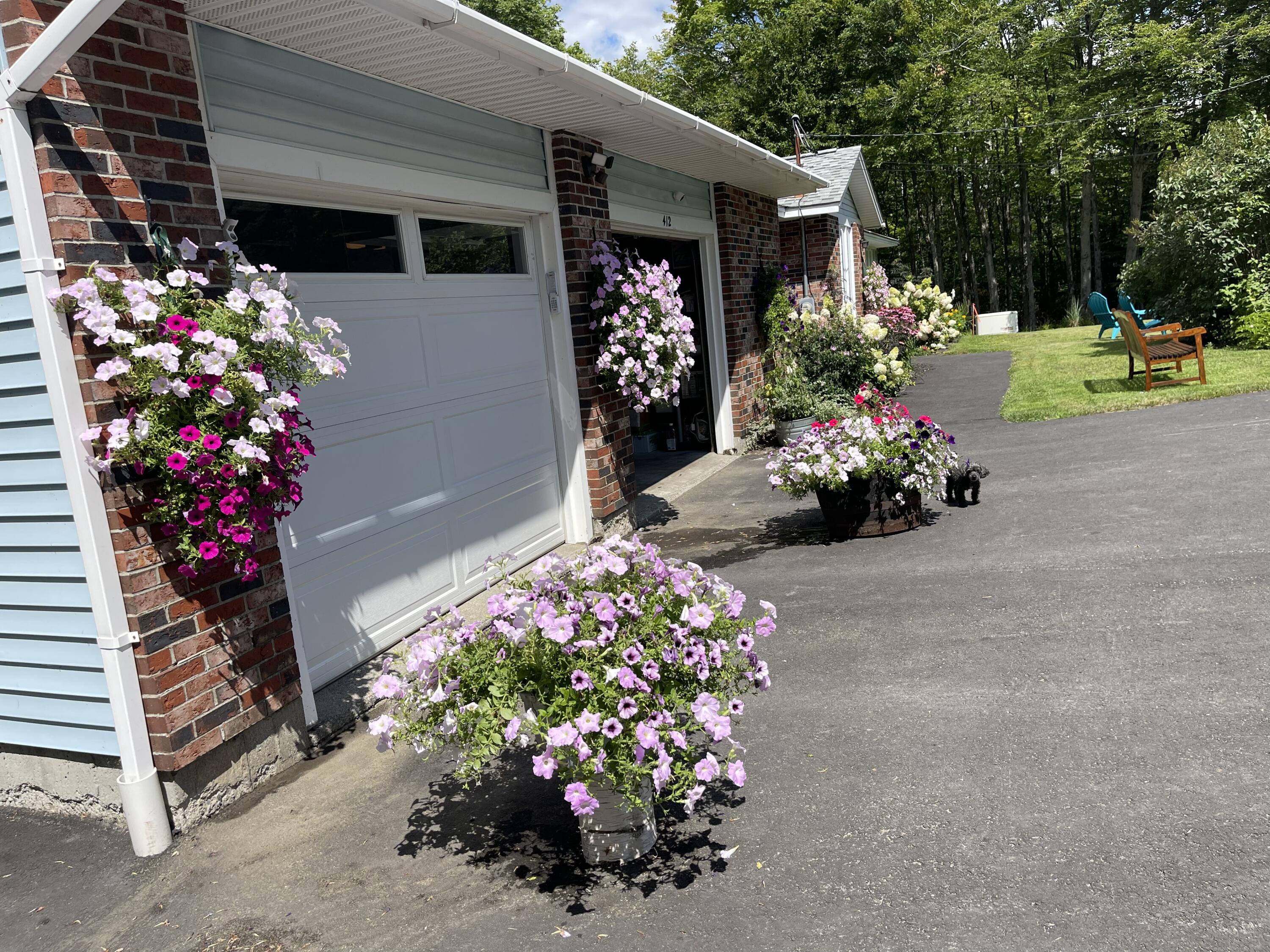 412 Lily Bay Road Greenville, ME 04441 - Photo 5 of 71 IMG_9441