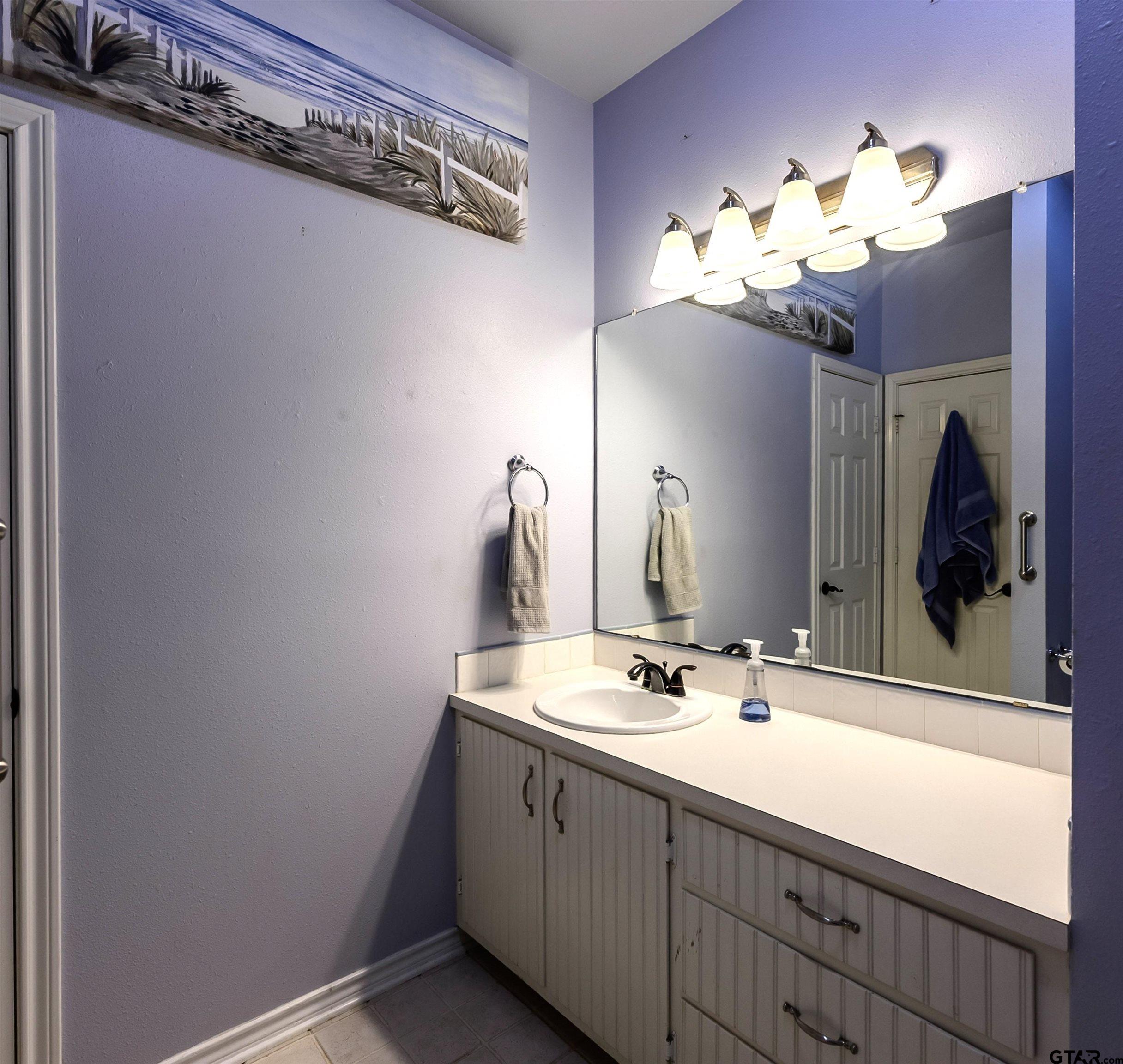 10074 Hillside Lane Flint, TX 75762 - Photo 16 of 22 a bathroom with a sink vanity and a mirror