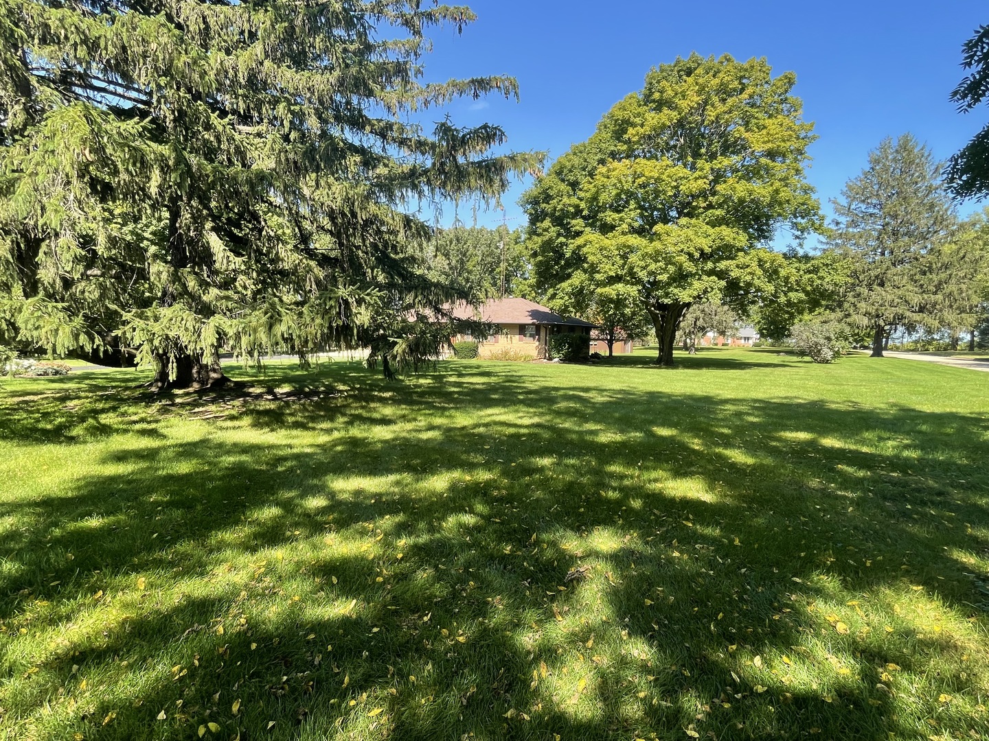 206 Palmyra Road Dixon, IL 61021 - Photo 4 of 46 a view of a field with a tree