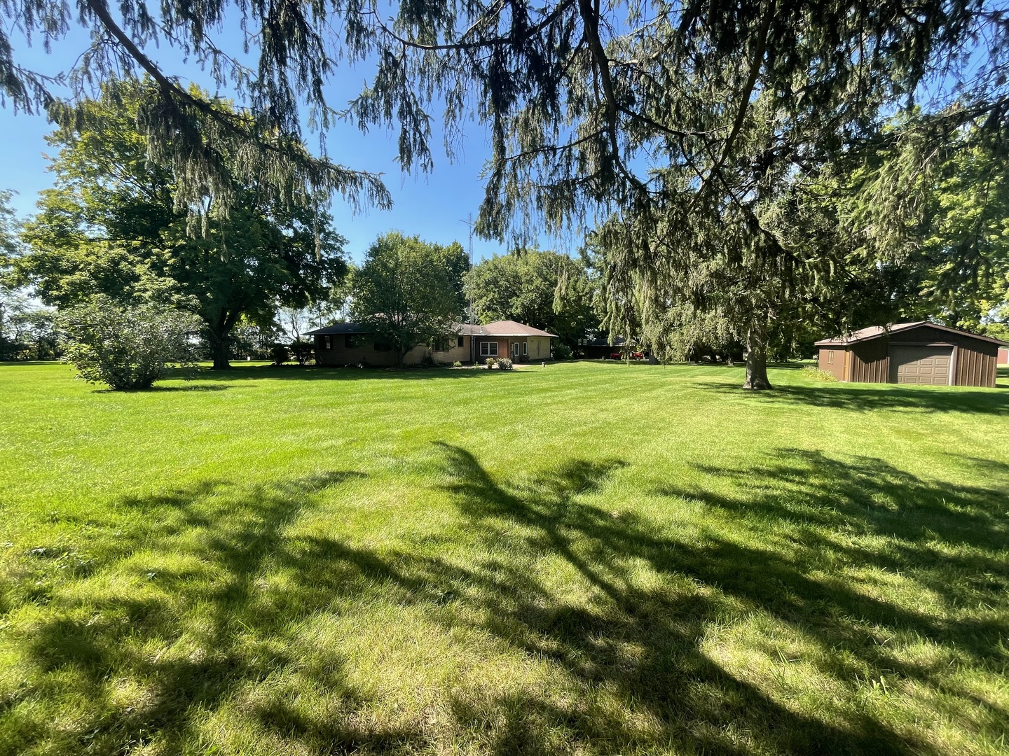 206 Palmyra Road Dixon, IL 61021 - Photo 41 of 46 a view of a big yard with large trees