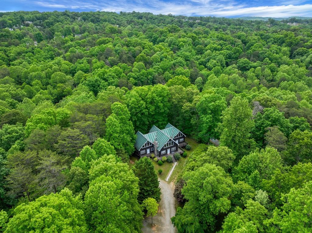 101 Yellow Bluff Road Dahlonega, GA 30533 - Photo 18 of 20 a view of a lush green forest with lots of trees