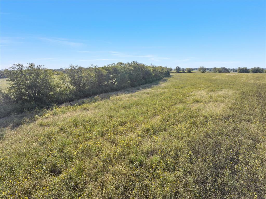 902 Mattlage Road Crawford, TX 76638 - Photo 8 of 32 View of nature featuring rural landscape