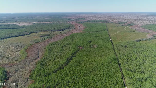 $3,200,000 | 0 Otter Creek Bridge Road, Ebro, FL 32437