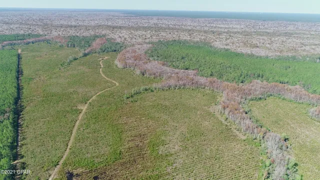 $3,200,000 | 0 Otter Creek Bridge Road, Ebro, FL 32437