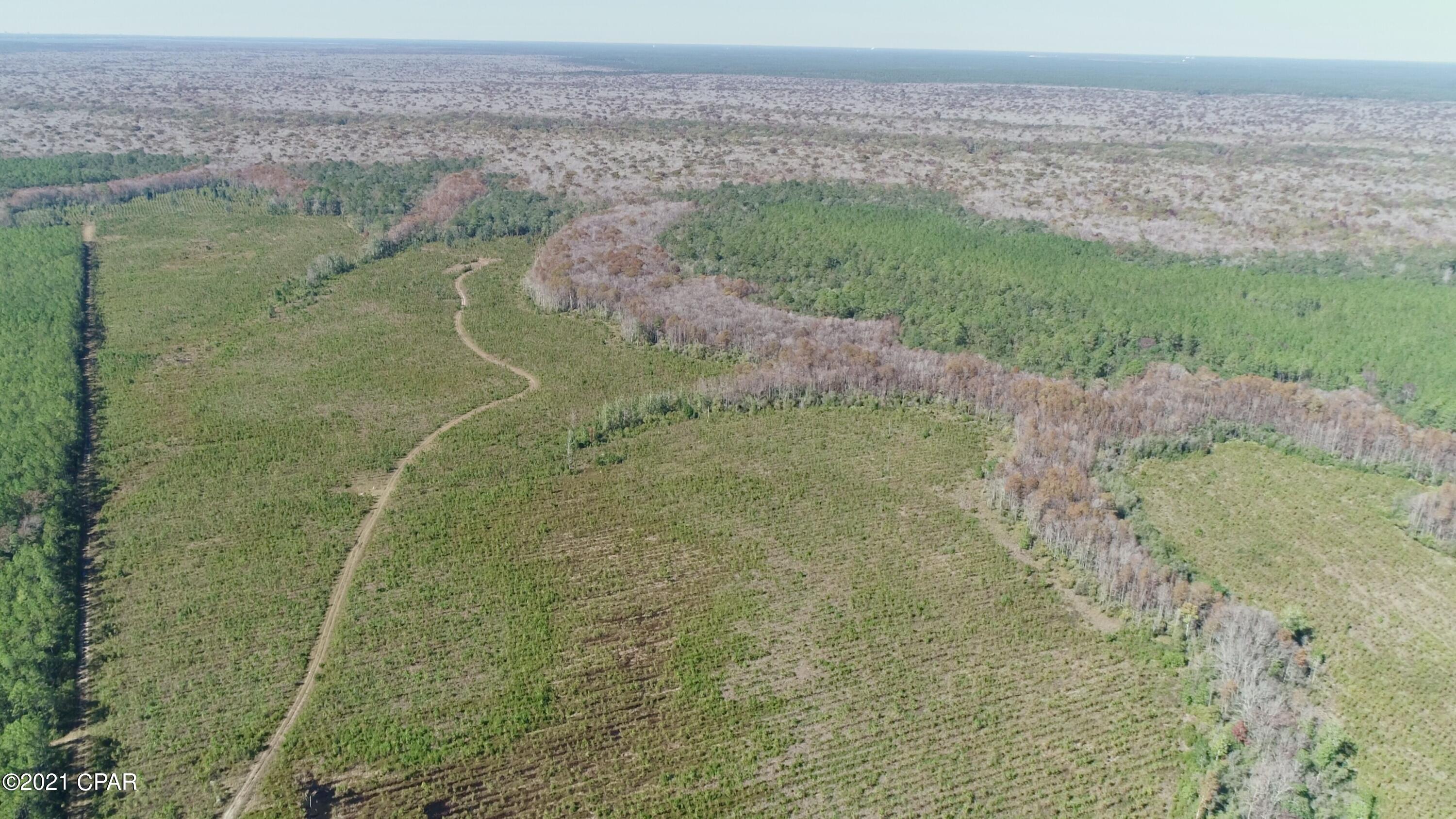 0 Otter Creek Bridge Road Ebro, FL 32437 - Photo 3 of 7