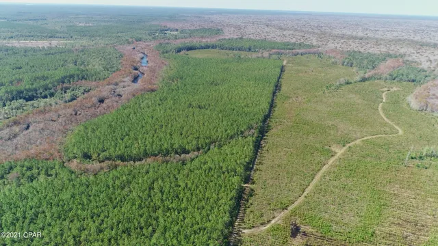 $3,200,000 | 0 Otter Creek Bridge Road, Ebro, FL 32437