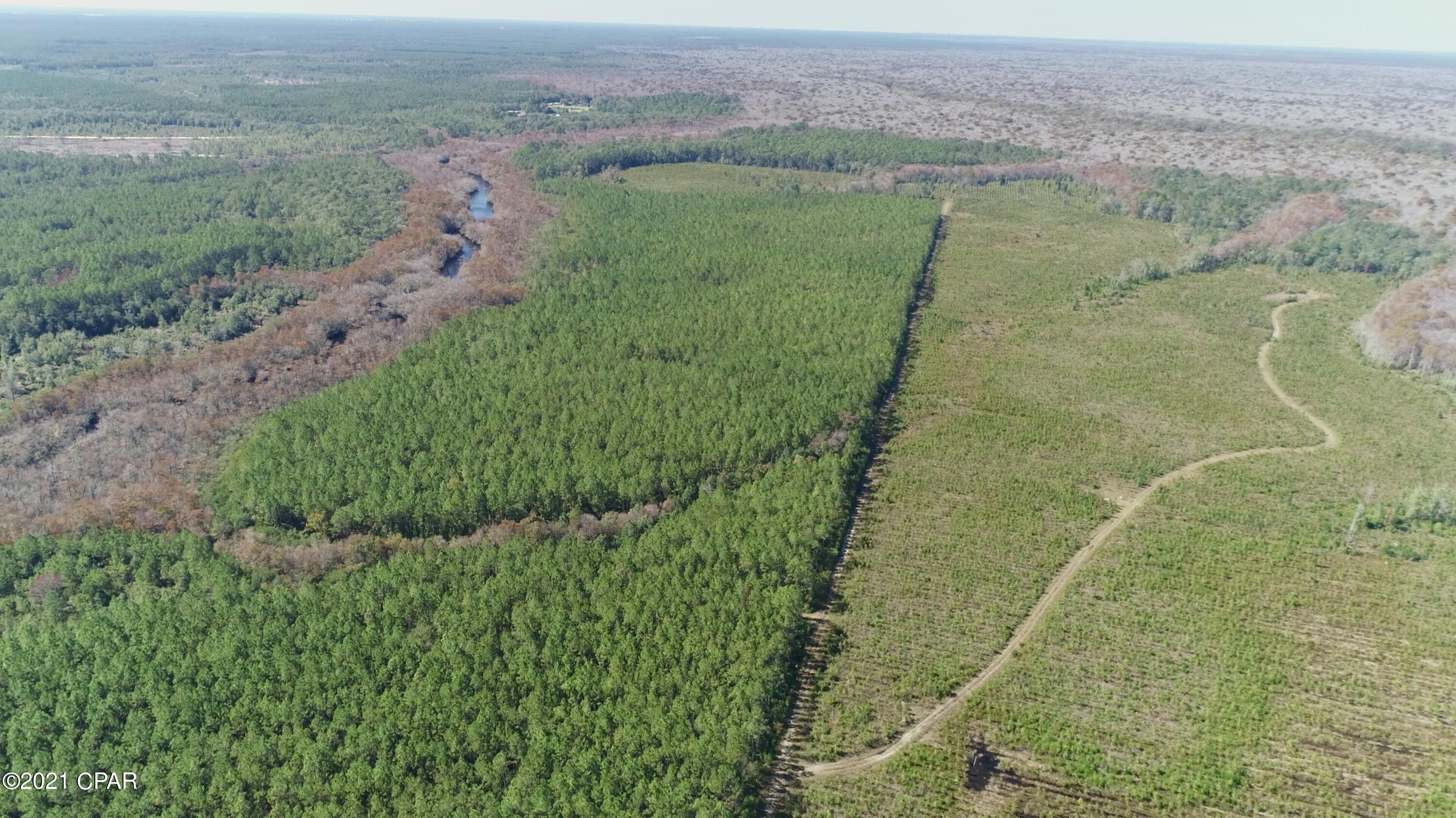 0 Otter Creek Bridge Road Ebro, FL 32437 - Photo 4 of 7