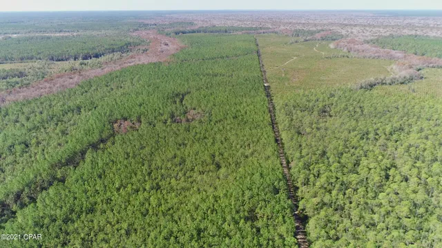 $3,200,000 | 0 Otter Creek Bridge Road, Ebro, FL 32437