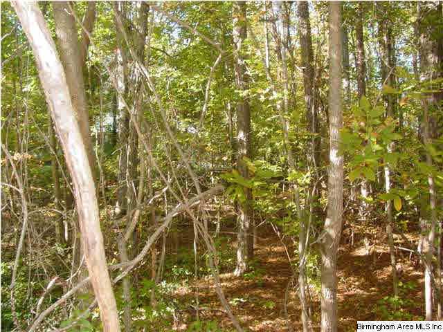 Old Choccolocco Road, Unit 73 Anniston, AL 36207 - Photo 15 of 30