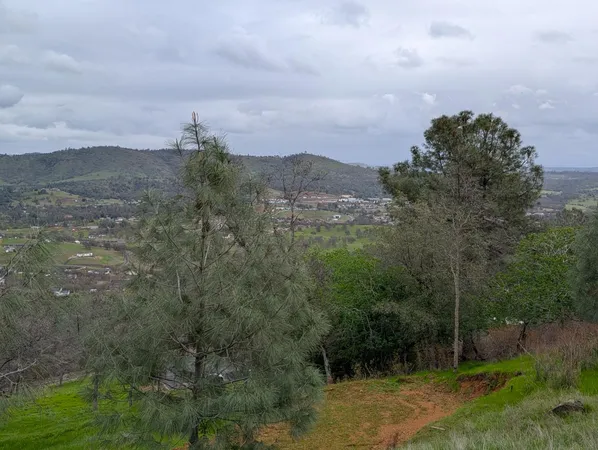 a view of a city with lush green forest