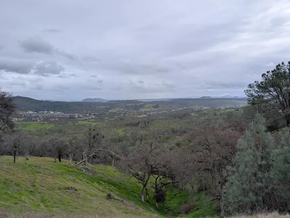 a view of a field with trees in the background