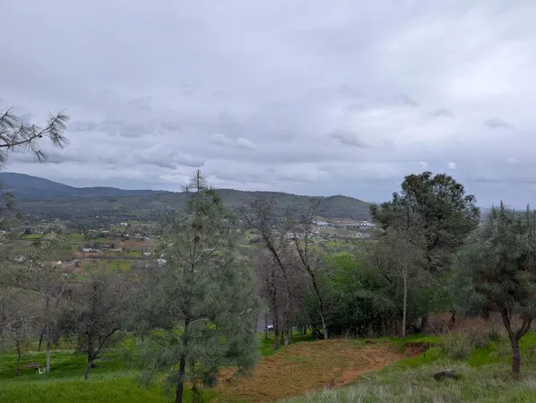 a view of a city with lush green forest