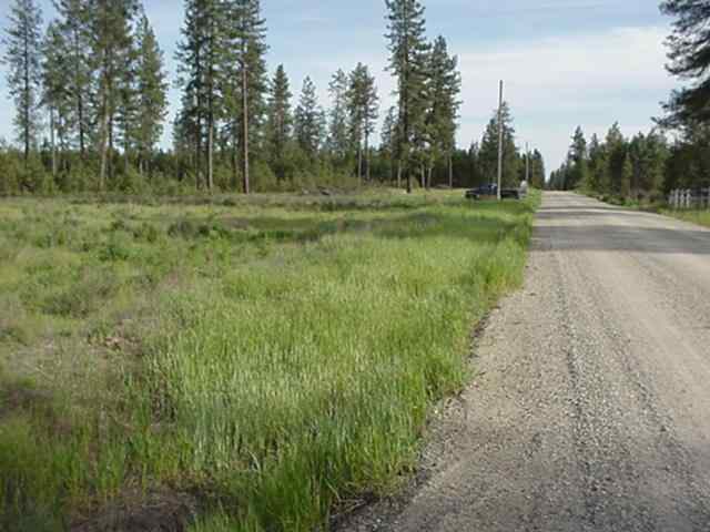 Xx Hardesty Road Elk, WA 99009 - Photo 1 of 5