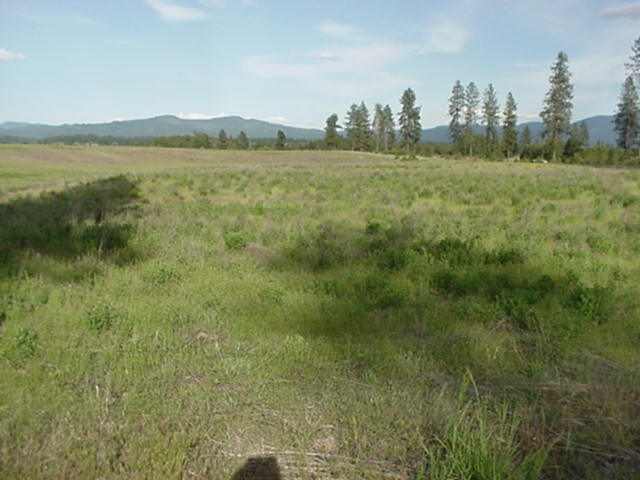 Xx Hardesty Road Elk, WA 99009 - Photo 2 of 5