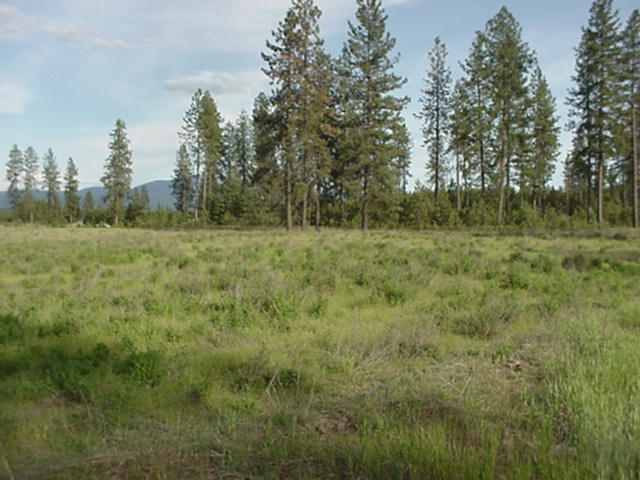 Xx Hardesty Road Elk, WA 99009 - Photo 3 of 5