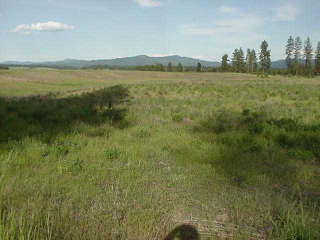Xx Hardesty Road Elk, WA 99009 - Photo 4 of 5