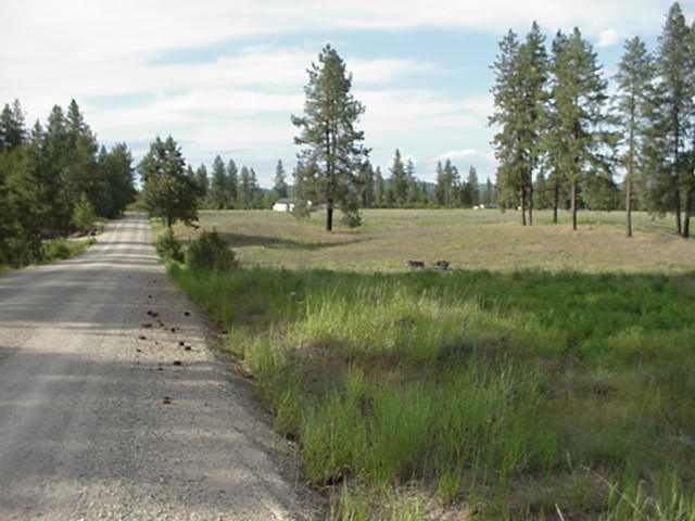 Xx Hardesty Road Elk, WA 99009 - Photo 5 of 5