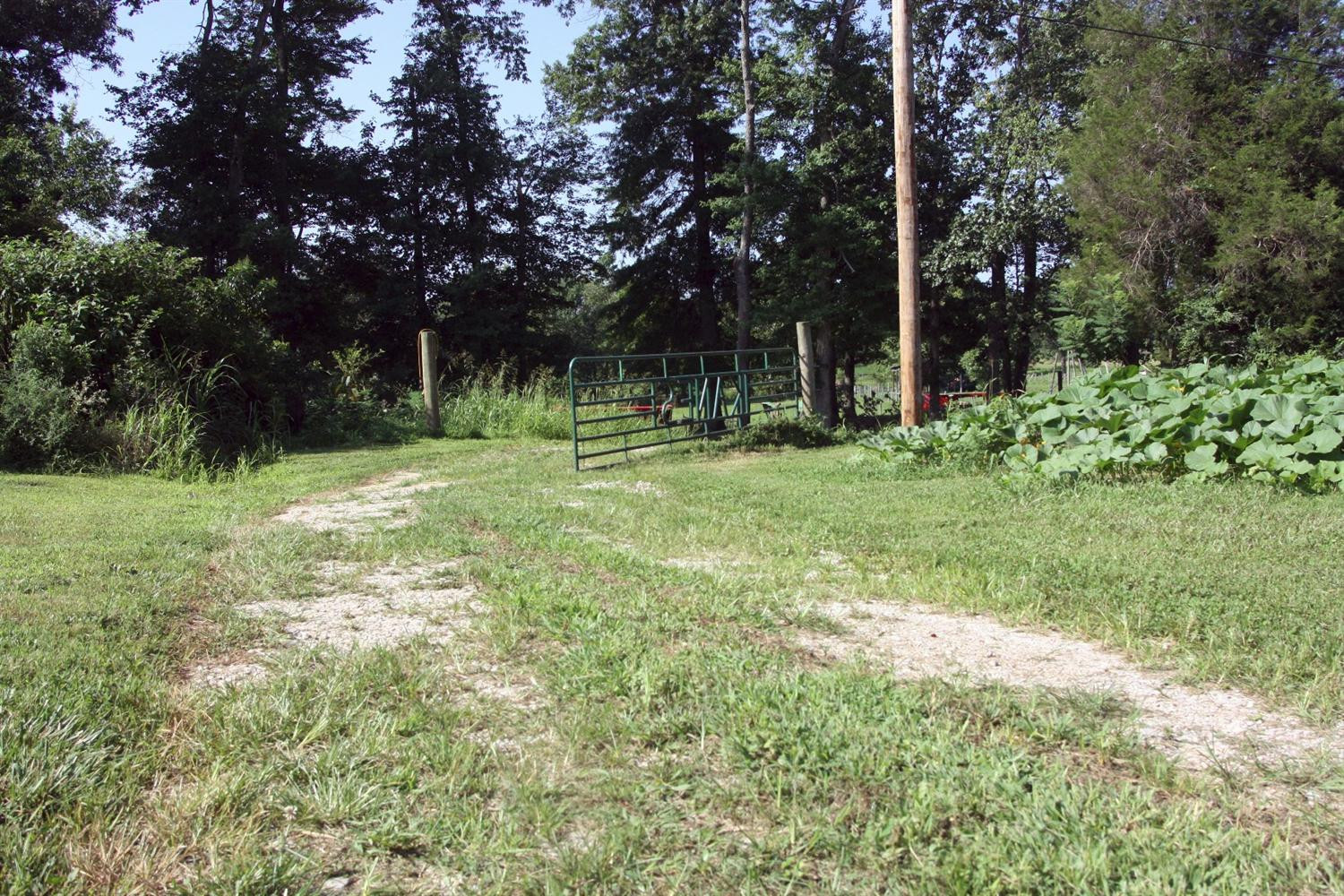 0 Woody Ware Road Clay City, KY 40312 - Photo 7 of 35 Photo 7
